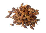 acer rubrum seeds red maple