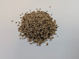 Shrub seed - Red raspberry