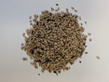 Shrub seed - Red raspberry