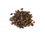 Tree seed - Himalayan spruce