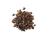 Tree seed - Himalayan spruce