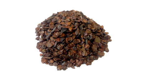 Tree seed - Grey Alder