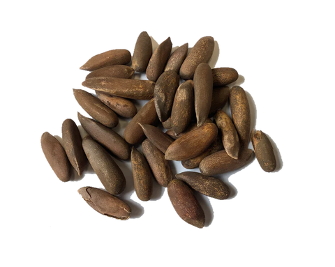 Tree seed - Chilghoza pine