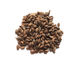pinus thunbergii seeds japanese black pine