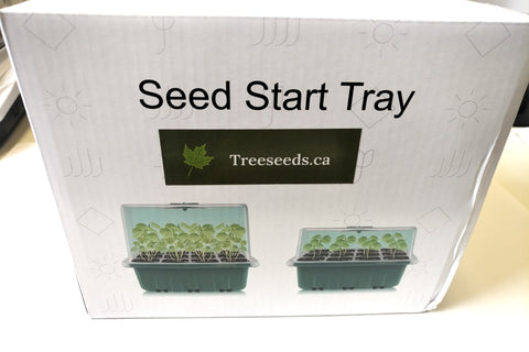 Seedling Grow Kit