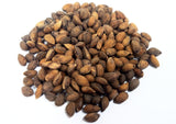 pinus resinosa seeds