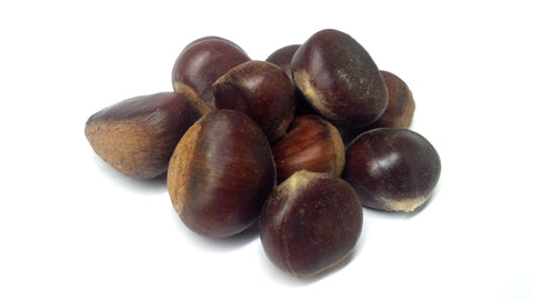 Tree seed - Chinese chestnut