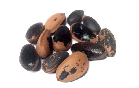 Tree seed - Coulter pine