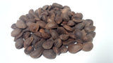 Tree seed - Southwestern white pine